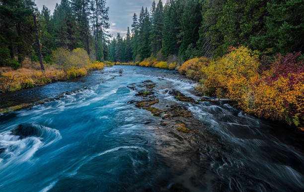 wizard falls on the metolius river autumn in oregon - flowing water river waterfall water imagens e fotografias de stock