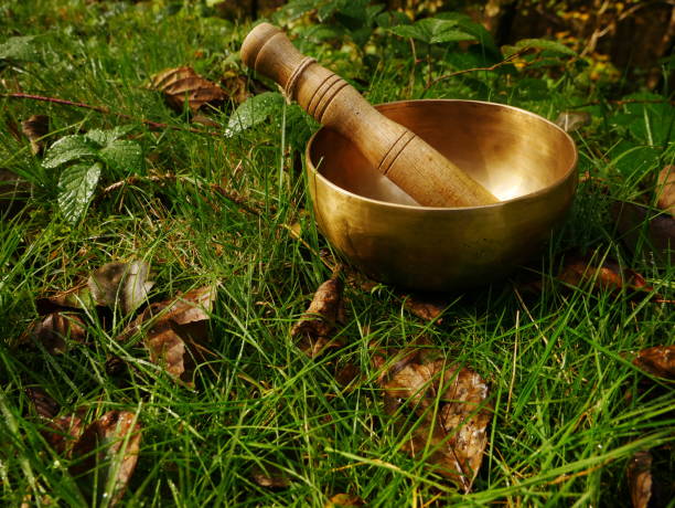 緑と新鮮な草の中に置かれた歌うボウル - music wellbeing rin gong bowl ストックフォトと画像