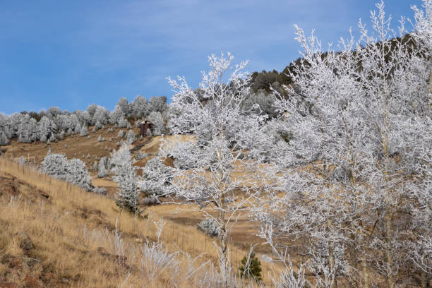 istock Frosty Gold Country 1282391356