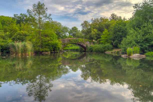 istock Gapstow Bridge in Central Park 1282391574