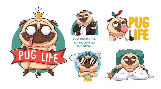 Funny pug sticker set. Illustrations for t-shirts, posters, sweatshirts and souvenirs