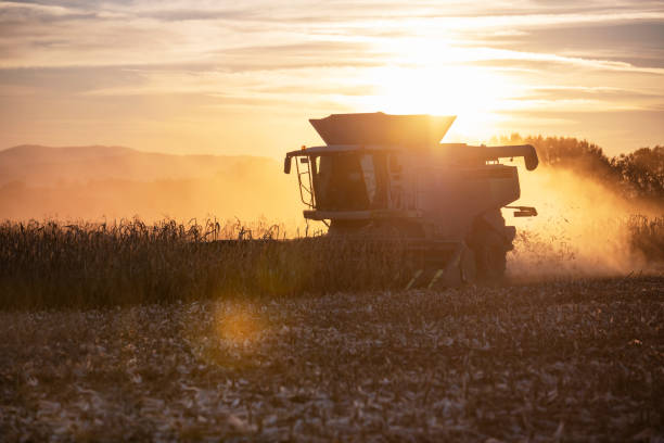 istock Combine harvesting in agriculture fields. 1282395409