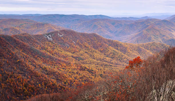 Priest Wilderness Autumn Colors Landscape The Priest Wilderness autumn landscape is a U.S. Wilderness Area in the Glenwood, Pedlar Ranger District of the George Washington and Jefferson National Forests. george washington national forest stock pictures, royalty-free photos & images