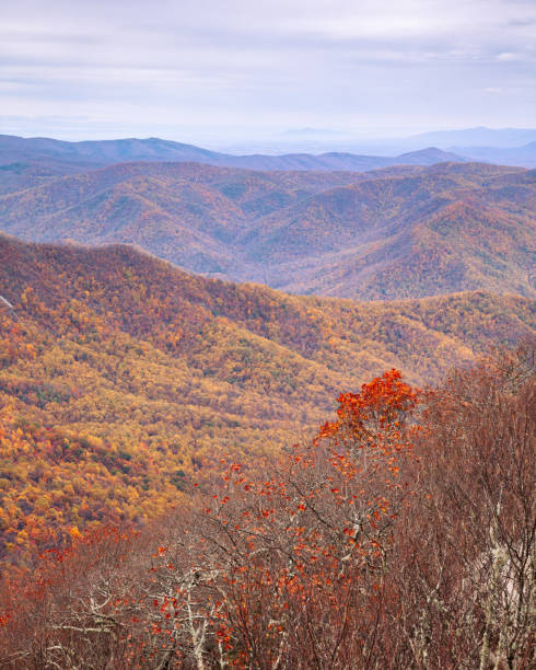 Priest Wilderness Autumn Colors Landscape The Priest Wilderness autumn landscape is a U.S. Wilderness Area in the Glenwood, Pedlar Ranger District of the George Washington and Jefferson National Forests. george washington national forest stock pictures, royalty-free photos & images