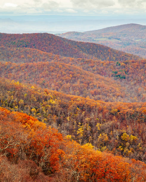 Priest Wilderness Autumn Colors Landscape The Priest Wilderness autumn landscape is a U.S. Wilderness Area in the Glenwood, Pedlar Ranger District of the George Washington and Jefferson National Forests. george washington national forest stock pictures, royalty-free photos & images