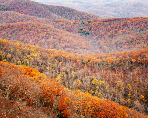 Priest Wilderness Autumn Colors Landscape The Priest Wilderness autumn landscape is a U.S. Wilderness Area in the Glenwood, Pedlar Ranger District of the George Washington and Jefferson National Forests. george washington national forest stock pictures, royalty-free photos & images