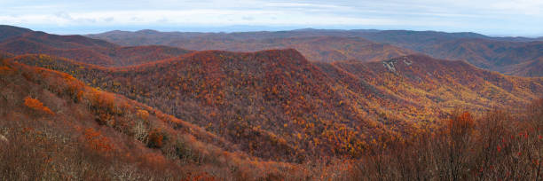 Priest Wilderness Autumn Colors Landscape The Priest Wilderness autumn landscape is a U.S. Wilderness Area in the Glenwood, Pedlar Ranger District of the George Washington and Jefferson National Forests. george washington national forest stock pictures, royalty-free photos & images