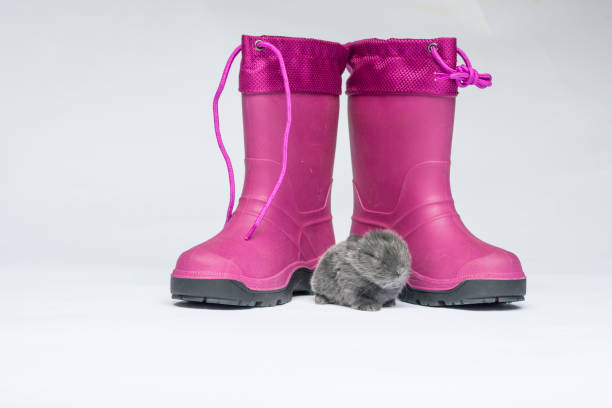 122 Horse Riding Boots For Girls Stock 