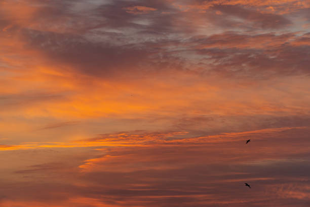 istock Fiery Clouds in the Morning Sky During Sunrise 1282401352