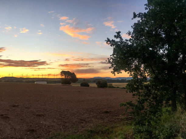 orange sunset in the field with background windmills in Madrid, Community of Madrid, Spain