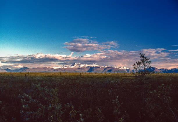 istock Alaska - Wrangell-St. Elias NP Mountains - 1997 1282406392