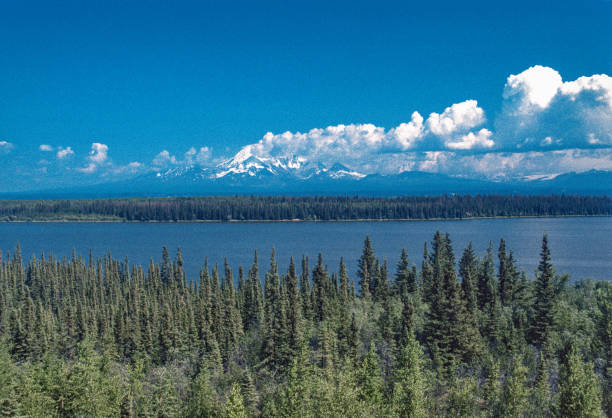 Alaska - Wrangell-St. Elias NP- Wrangell Mountains & Copper River Close-up - 1997