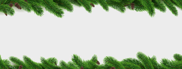 illustrations, cliparts, dessins animés et icônes de bordure de branche de sapin. pin arbre cadre de décoration de noël isolé, réaliste 3d motif horizontal, célébration d’hiver célébration décor éléments vecteur illustration botanique - pine tree pine cone branch isolated