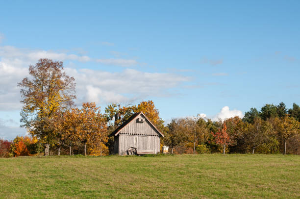 Wooden barns for pasture and hay, Garmisch, Bavarian alps – Germany\n\n\nBavarian alps – pine woodland and wooden pasture barn (NOT A HOUSE), Just a barn for pasture and hay from agriculture) at golden autumn, Garmisch Partenkirchen, Bavaria – Germany