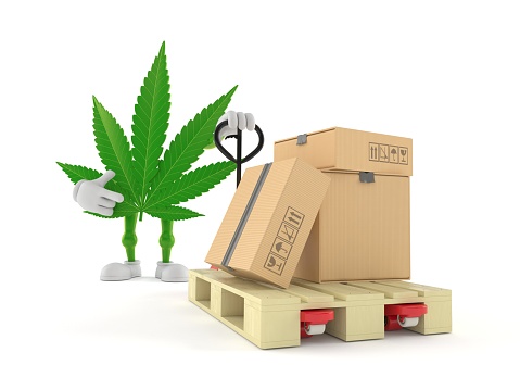 Cannabis character with hand pallet truck with cardboard boxes isolated on white background. 3d illustration