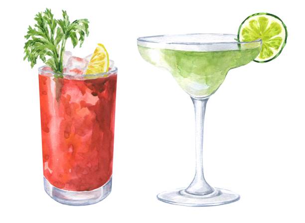 Hand drawn watercolor cocktails isolated on white background. Margarita, bellini, daiquiri and bloody Mary drink illustration. Hand drawn watercolor cocktails isolated on white background. Margarita, bellini, daiquiri and bloody Mary drink illustration. margarita illustrations stock illustrations