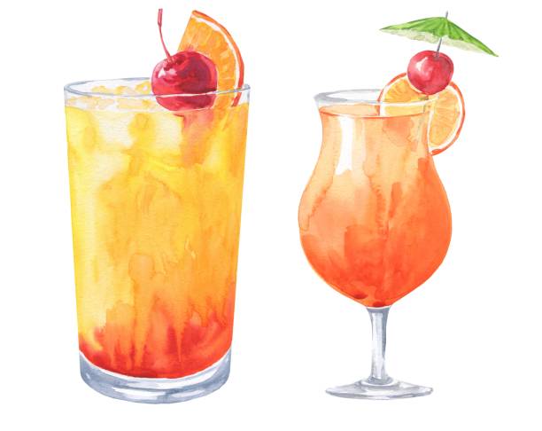 ręcznie rysowane koktajle akwarelowe izolowane na białym tle. tequila wschód słońca, seks na plaży, kosmopolityczne i negroni ilustracji. - sex on the beach stock illustrations