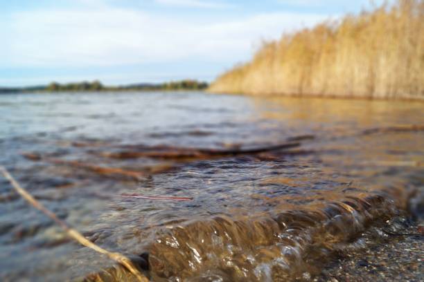 istock At the lakeshore in sunny autumn 1282430808