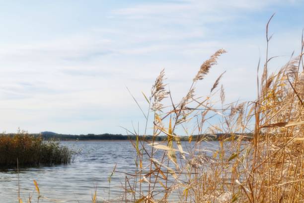 istock At the lakeshore in sunny autumn 1282430826