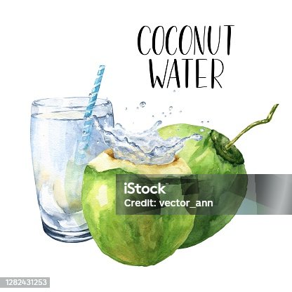 istock Watercolor green coconut with galss of water and splashes, colorful composition isolated on white background. Food illustration, 1282431253