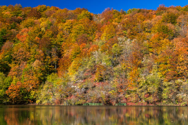istock Autumn on Plitvice Lakes, Croatia 1282431961