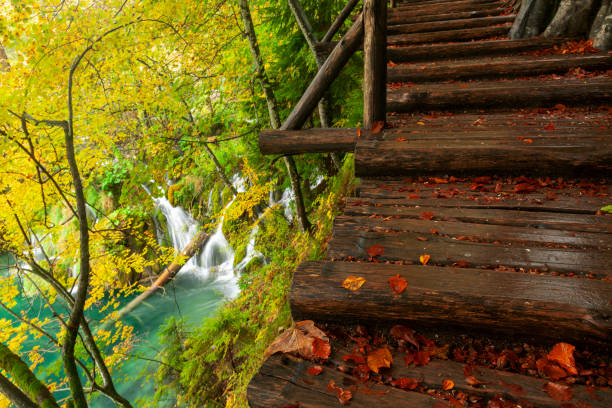 istock Autumn on Plitvice Lakes, Croatia 1282432083