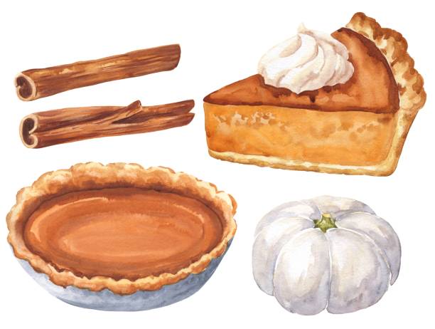 ilustrações de stock, clip art, desenhos animados e ícones de watercolor pumpkin pie on white background. watercolour fall season desserts, food illustration. - pie baked food pumpkin pie