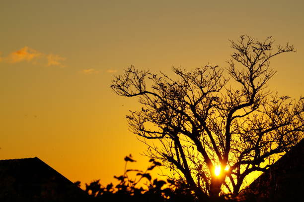 Look for the pretty autumn colors which turn nature magic.