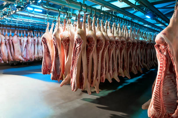 istock Refrigerator for storing suspended pork carcasses 1282444132