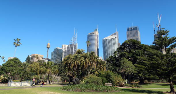 istock Sydney Skyline, New South Wales, Australia 1282445055