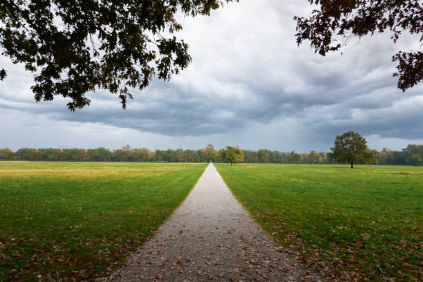 A peaceful countryside scene in County Cavan, featuring a dirt path surrounded by green grass, rose hip bushes, and trees showing early autumn colors. The sky has a gradient of blue and purple tones.