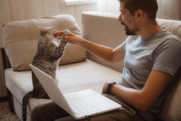 istock Young attractive smiling guy is browsing at his laptop 1282451584
