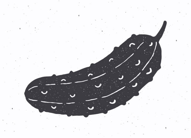 ilustrações de stock, clip art, desenhos animados e ícones de cucumber or pickle silhouette. vector illustration. ingredient for vegetable salad. healthy vegetarian food. - cucumber pickled