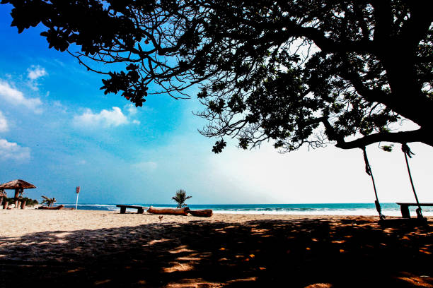 Florianopolis, Brazil. February, 2018. Flat and clear beach with a shadow of a pine tree. Campeche Beach (Praia do Campeche).
