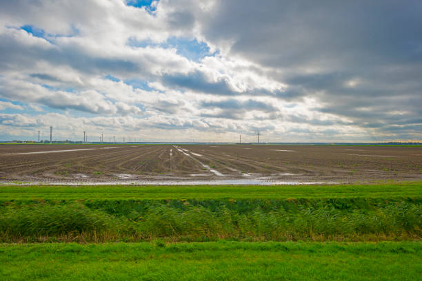 Panorama of fields under dark, grey and white rain clouds in bright sunlight in autumn, Almere, Flevoland, The Netherlands, October 26, 2020