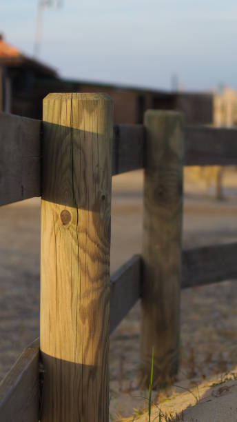 Perspective on a wooden fence