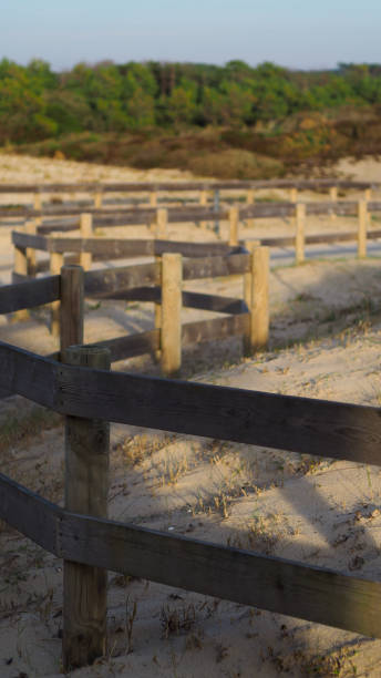 istock Wooden and sand barrier 1282461390