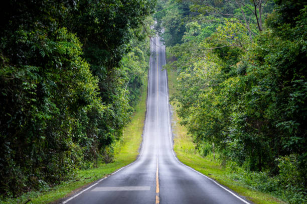 straight road in countryside surrounding by green trees. - steep imagens e fotografias de stock