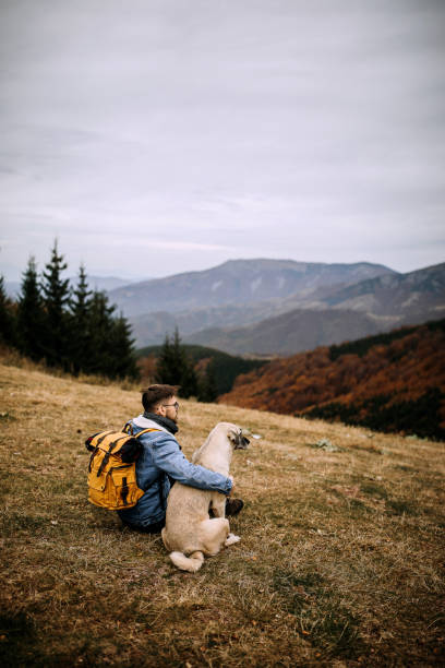 istock Man and dog sitting on peak watching the mountain landscape 1282468027