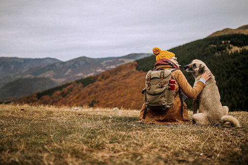 Woman hiker and a dog sitting on the meadow enjoying the beautiful view
