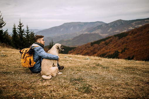 Man and dog sitting on peak watching the mountain landscape