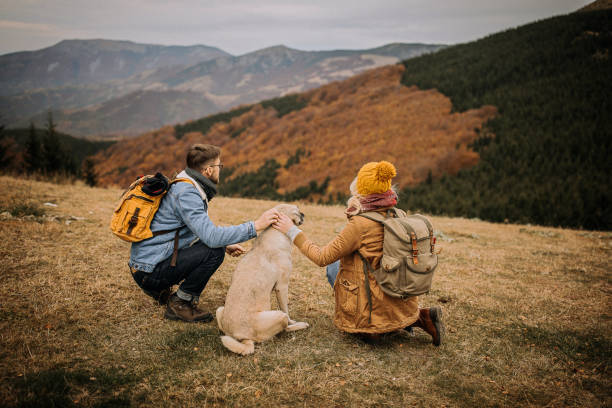istock Young Couple Resting on Mountain Peak with a dog 1282468231