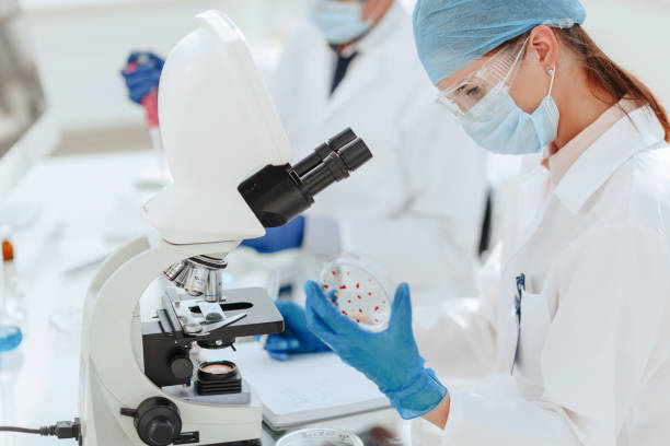 istock scientists investigating the development of bacteria in the laboratory 1282472091
