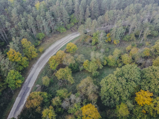 istock Aerial view. Drone shot og fall landscape. 1282472336