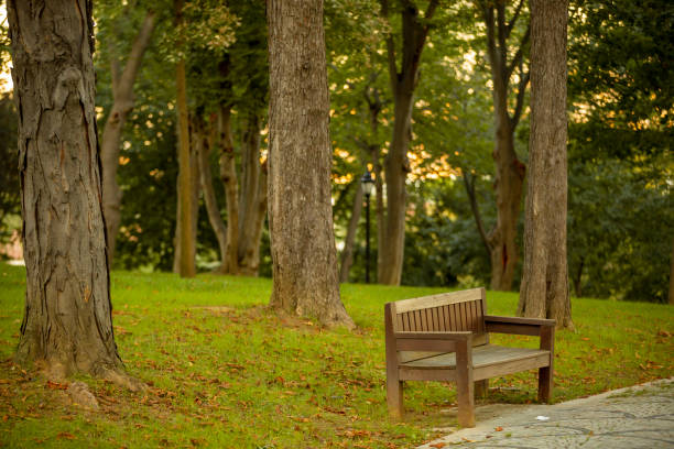 istock wooden seat standing 1282475425