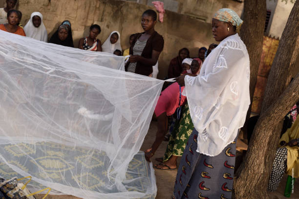 Malaria in Burkina Faso In December 2017, a photographic reportage, commissioned by an Italian NGO, took me to travel to Burkina Faso. The NGO has been operating for several years in the sub-Saharan country with projects aimed at containing malaria, which is endemic among the Burkinabé population. In these two images we see some women teaching other women how to prevent contagion caused by the Anopheles mosquito, carrier of the disease. In their demonstration, these women illustrate how to use mosquito nets to avoid being affected by the infection. malaria stock pictures, royalty-free photos & images