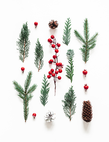 Christmas composition. Coniferous tree branches on white background. Christmas, winter, new year concept. Flat lay, top view