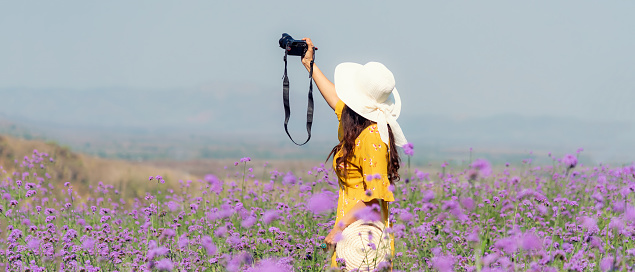 Traveler or tourism Asian women standing and holding camera take a photo flower in the purple  verbena field in vacations time.  People  freedom and relax in the spring  meadow.  Lifestyle Concept