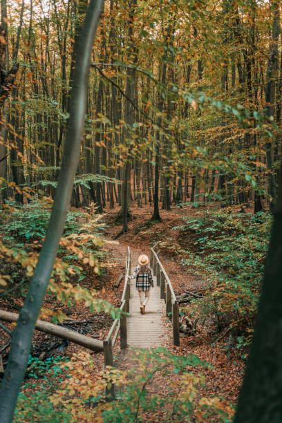 istock Woman hiking alone in the forest 1282477613