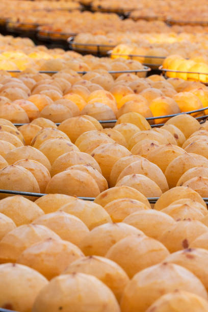 istock Making process of sun exposuring dried persimmon in a sieve in autumn. 1282478210